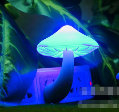 4890045035565